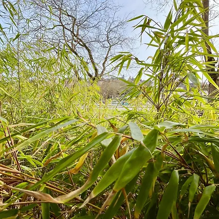 Le Belvédère - Bord De Sarthe - 4pers *