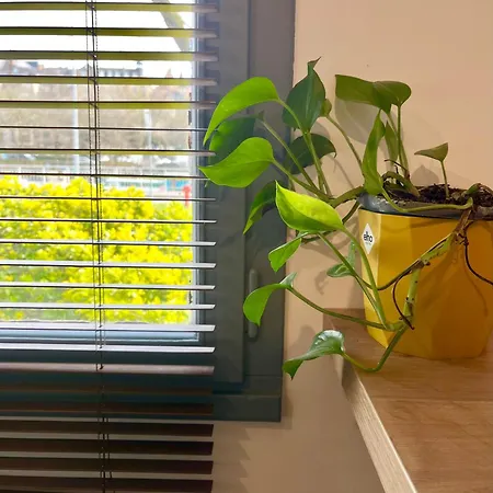 Le Belvédère - Bord De Sarthe - 4pers * Le Mans