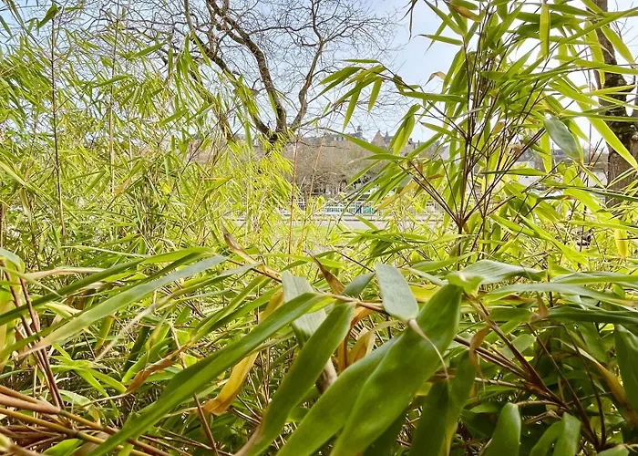 Le Belvedere - Bord De Sarthe - 4pers *